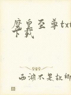 魔皇至尊txt下载