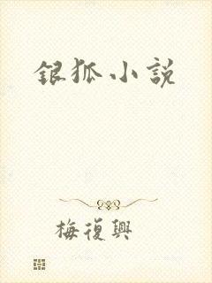 银狐小说