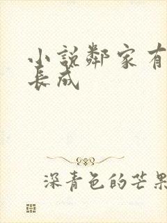 小说邻家有女初长成