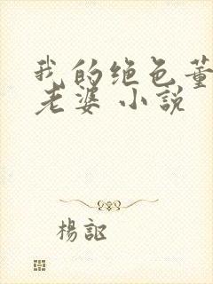 我的绝色董事长老婆 小说