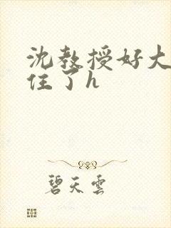 沈教授好大含不住了h