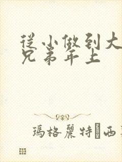 从小做到大骨科兄弟年上