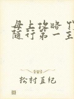 母上攻略 竹影随行第一主板