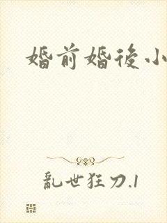 婚前婚后小说
