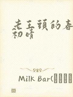 老王头的春天林初晴