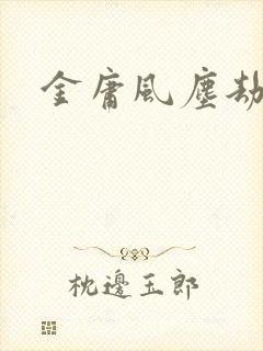 金庸风尘劫