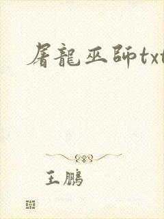 屠龙巫师txt