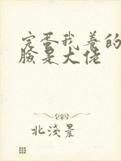 完蛋我养的小白脸是大佬