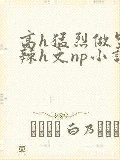 高h猛烈做哭高辣h文np小说