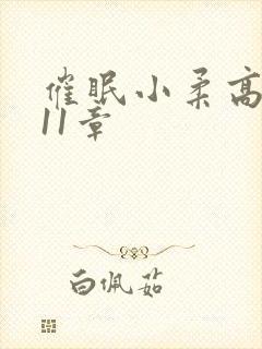 催眠小柔高达第11章