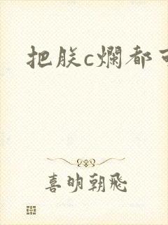 《把朕c烂都可以》小说封面