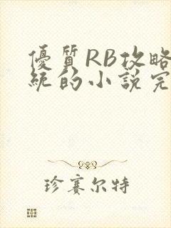 优质RB攻略系统的小说完整版