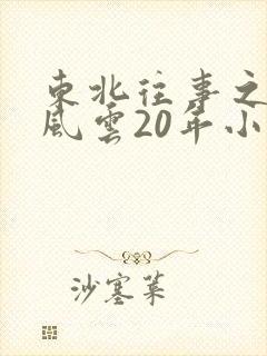 东北往事之黑道风云20年小说