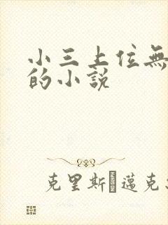 小三上位无三观的小说