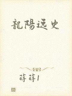 龙阳逸史封面