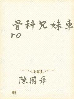 骨科兄妹车多pro封面