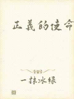 正义的使命小说