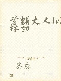 首辅大人1v2林初