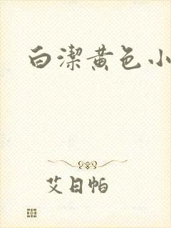 白洁黄色小说