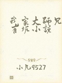 我家大师兄脑子有坑小说