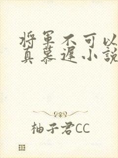 将军不可以魏云真慕迟小说笔趣阁