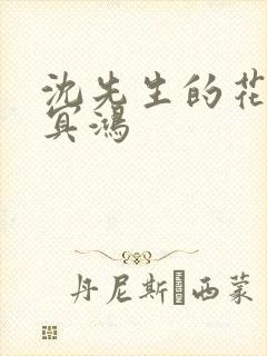 沈先生的花式调冥鸿