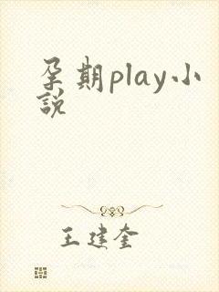 孕期play小说
