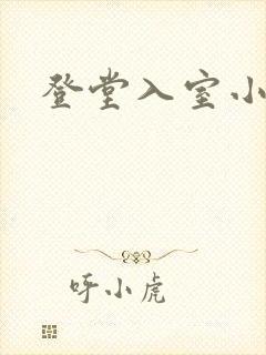 登堂入室小说