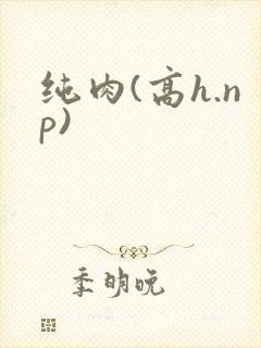 纯肉(高h.np)