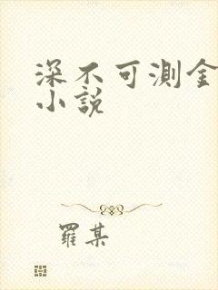 《深不可测金银花小说》小说封面