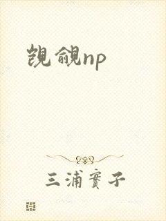 觊觎np