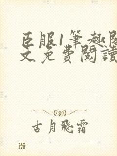 臣服1笔趣阁全文免费阅读无弹窗