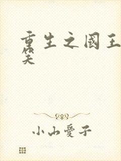 重生之国王的微笑