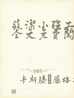 苏洁小强工地情全文免费阅读