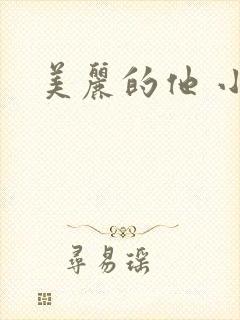 美丽的他 小说