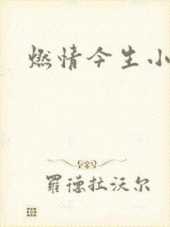燃情今生小说