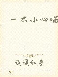 一不小心喵上你