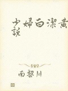 少妇白洁黄色小说封面