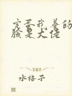 完蛋我养的小白脸是大佬