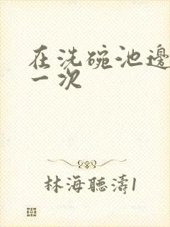 《在洗碗池边要了一次》小说封面