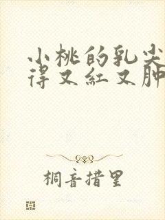 小桃的乳尖被吸得又红又肿