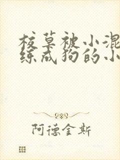 校草被小混混训练成狗的小说