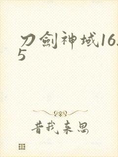 刀剑神域16.5