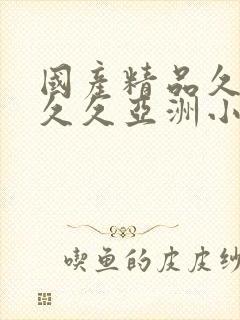 国产精品久久久久久亚洲小说