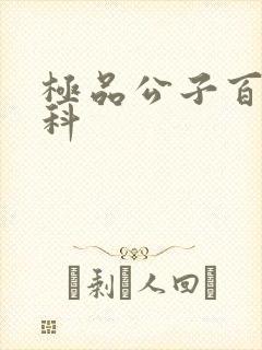 极品公子百度百科