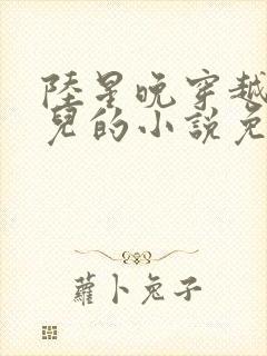 陆星晚穿越成婴儿的小说免费阅读全文