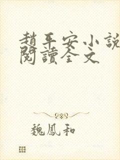 赵平安小说免费阅读全文