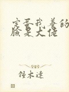 完蛋我养的小白脸是大佬封面