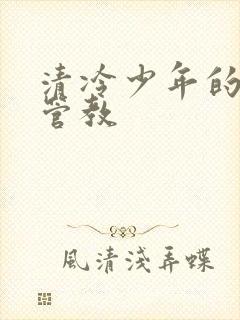 清冷少年的严厉管教