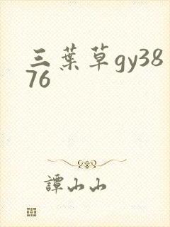 三叶草gy3876